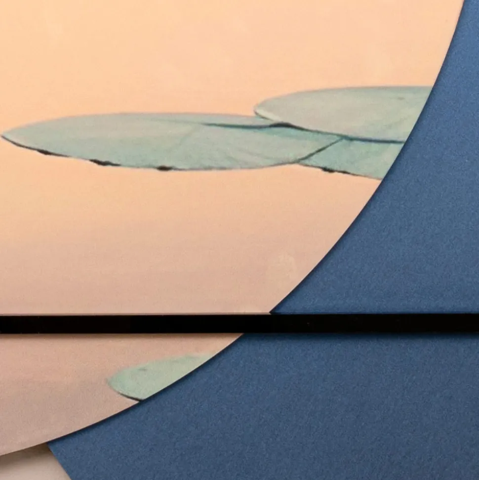 Composizione di Quadri in Legno con Stampa di Uccelli Made in Italy - Belize