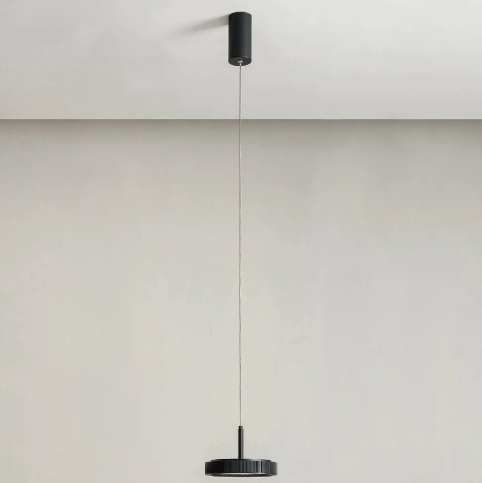Lampada a Sospensione in Metallo Verniciato Color Nero e Luce LED - Carpino