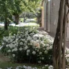 Lampada da Terra Giardino Alluminio Bianco Design a Foglia Ninfea - Cipriam