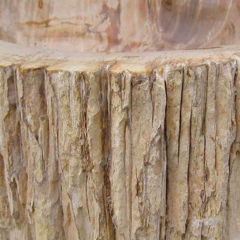 Lavabo da Appoggio in Legno Fossile Goa, non riproducibile in serie