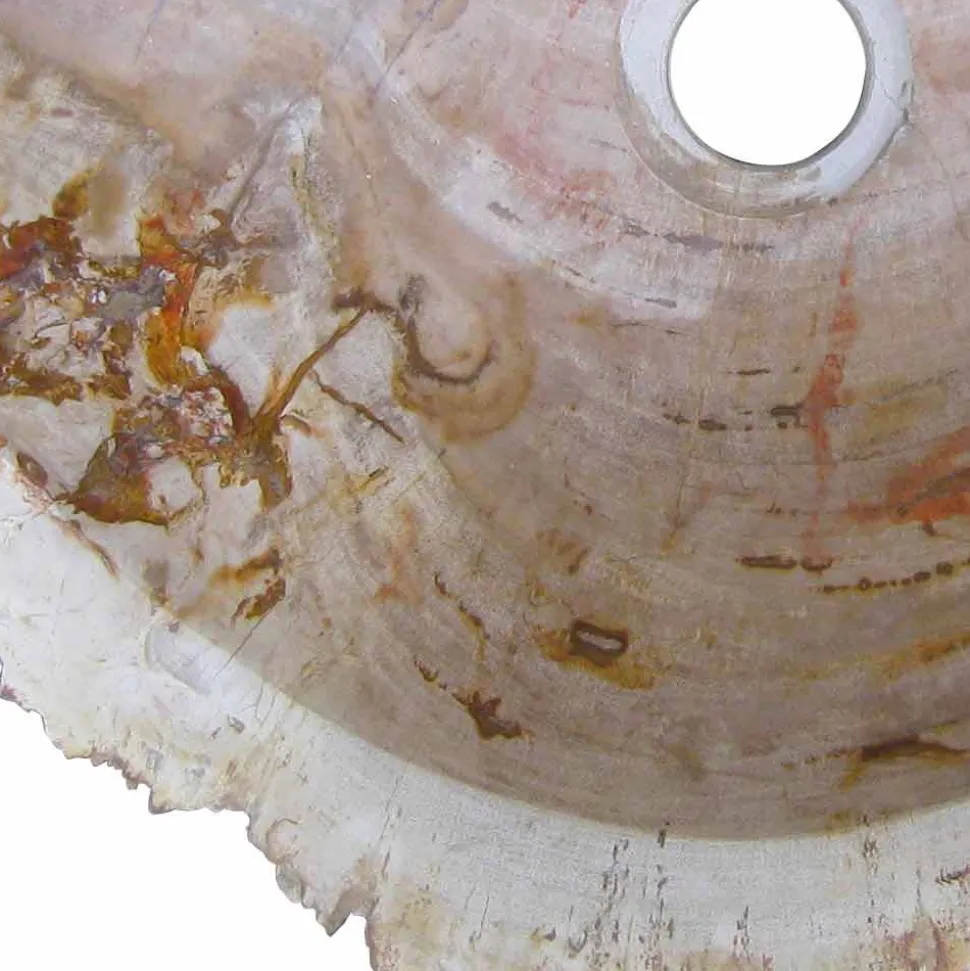 Lavabo da Appoggio in Legno Fossile Goa, non riproducibile in serie