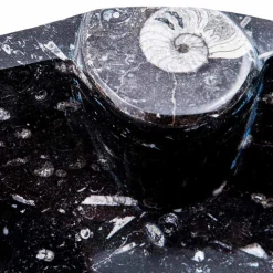 Lavandino da Appoggio Moderno in Marmo con Fossili – Burgeo