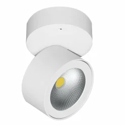 Plafoniera o Applique Faretto Led 14W in Alluminio Bianco o Nero - China