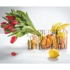 Portafrutta in Plexiglass Colorato Moderno Made in Italy - Multifruits