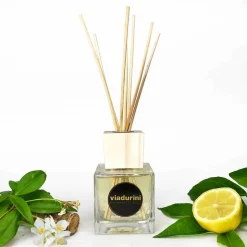 Profumatore Ambiente Fragranza Cuoio 200 ml con Bastoncini - Lavecchiavenezia
