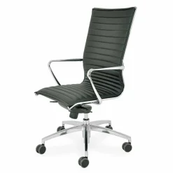 Sedia da Ufficio con Ruote e Cuscino Design Ergonomico e Girevole - Filanna