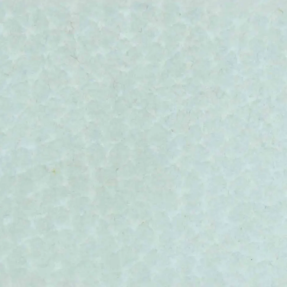 Sedia Imbottita con Base Legno Rovere Made in Italy – Sebastian