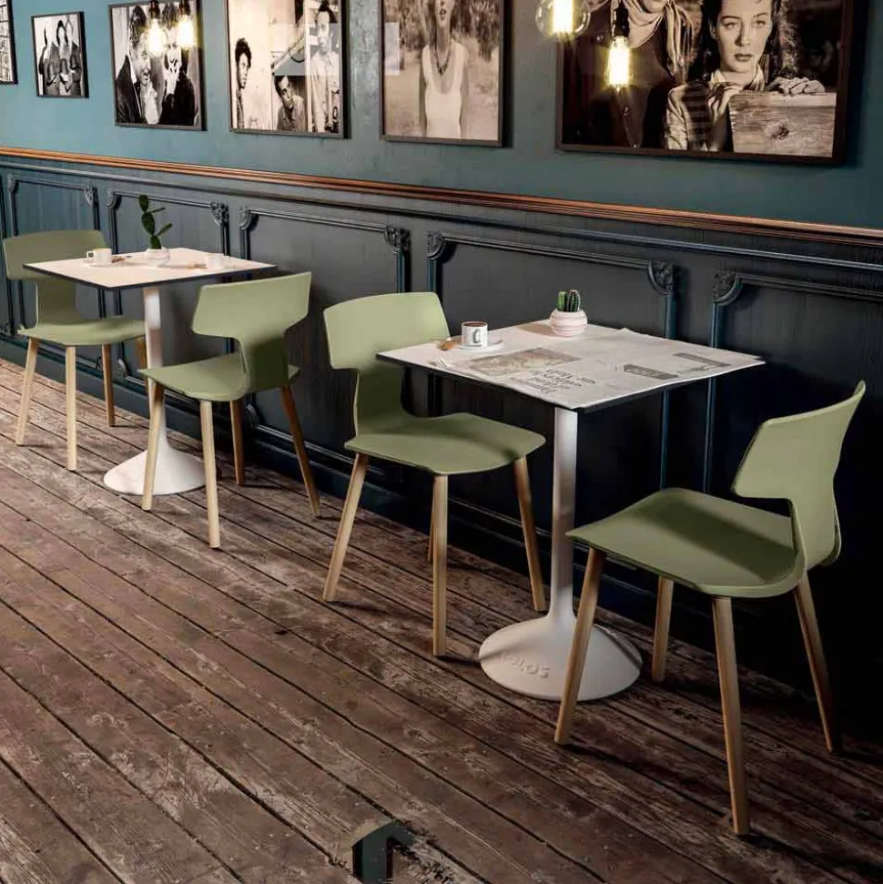 Sedia Sala da Pranzo in Legno e Polipropilene Made in Italy, 2 Pezzi - Clover