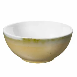 Servizio 6 Coppette per Gelato e 2 Ciotole in Porcellana Colorata - Rurolo