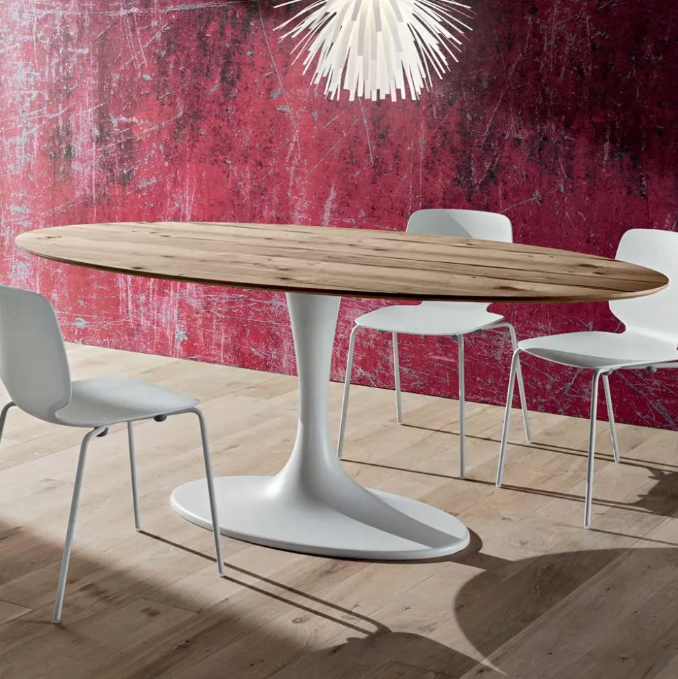 Tavolo da Pranzo con Piano Ovale in Multistrato Made in Italy - Brontolo