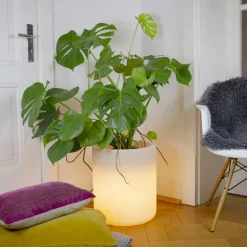 Vaso con Illuminazione Solare o Led Design da Interno o Esterno - Cilindrostar
