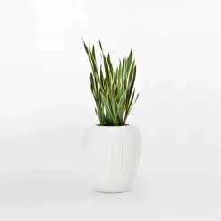 Vaso Luminoso da Esterno Design Moderno in Polietilene, 2 Pezzi - Skin by Myyour