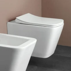Vaso Wc Sospeso con Sedile Soft Close in Ceramica dal Design Moderno - Giunco